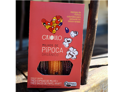 Milhos de Pipoca Crioulo 3 espigas coloridas